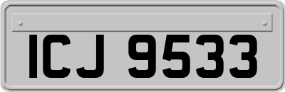 ICJ9533