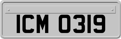 ICM0319