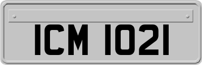 ICM1021