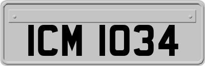 ICM1034