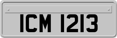 ICM1213