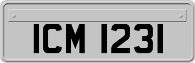 ICM1231