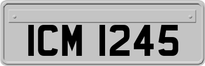 ICM1245