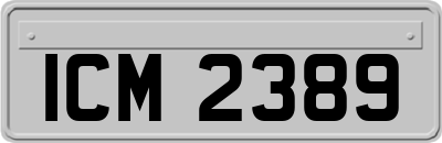 ICM2389