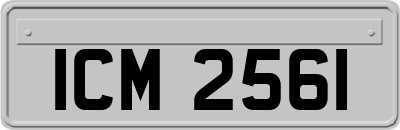 ICM2561