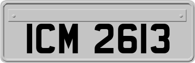ICM2613