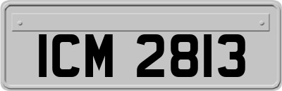 ICM2813
