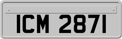 ICM2871
