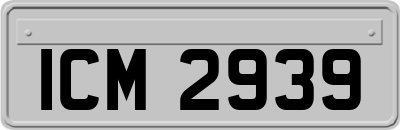 ICM2939