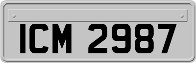 ICM2987