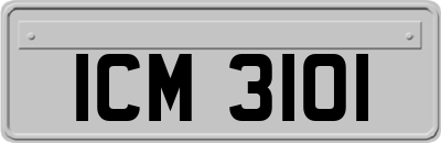 ICM3101