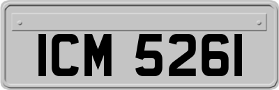 ICM5261