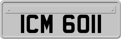ICM6011