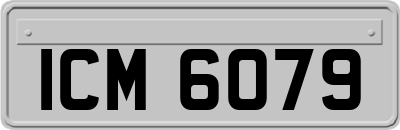 ICM6079