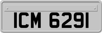 ICM6291