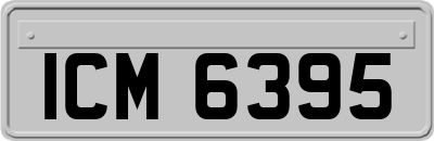 ICM6395