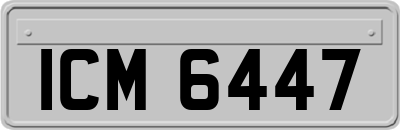ICM6447