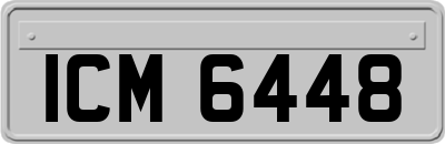 ICM6448