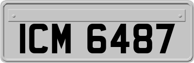 ICM6487