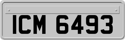 ICM6493
