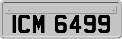 ICM6499