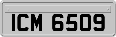 ICM6509