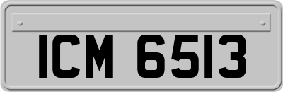 ICM6513