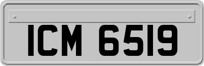 ICM6519