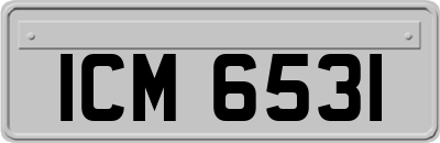 ICM6531