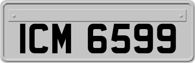 ICM6599