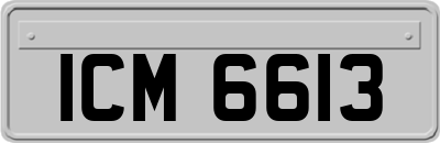 ICM6613