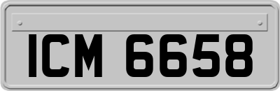 ICM6658