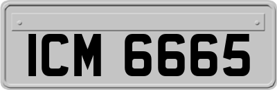 ICM6665