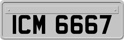 ICM6667