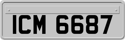 ICM6687