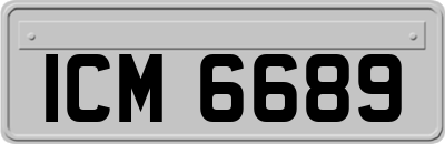 ICM6689
