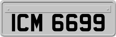 ICM6699