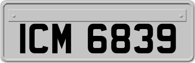 ICM6839