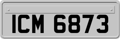 ICM6873