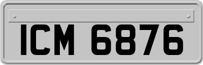 ICM6876