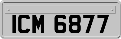 ICM6877