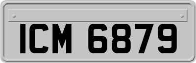 ICM6879