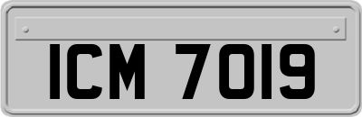 ICM7019