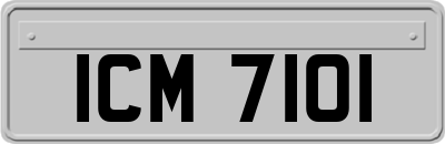 ICM7101