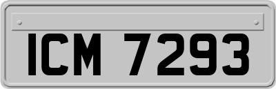 ICM7293