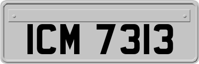 ICM7313