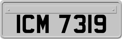 ICM7319