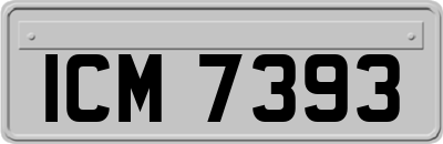 ICM7393