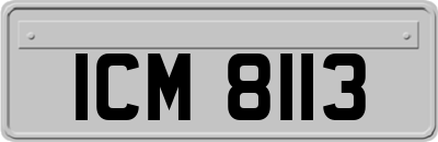 ICM8113