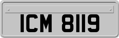 ICM8119